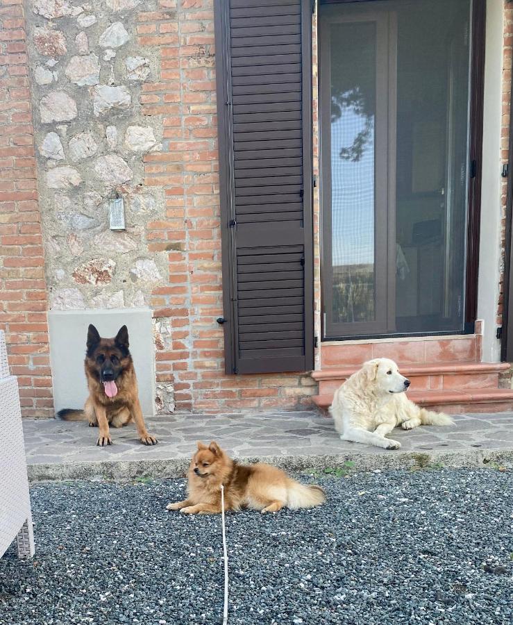 Casa Vacanze Arcobaleno Grosseto Extérieur photo